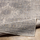 Akio Gray  Area Rug - Clearance