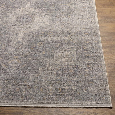 Akio Gray Area Rug - Promo