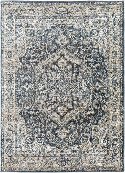 Sturt Gray Traditional Area Rug - Clearance