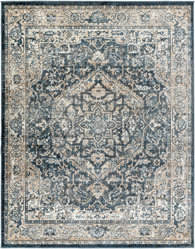 Sturt Gray Traditional Area Rug - Clearance