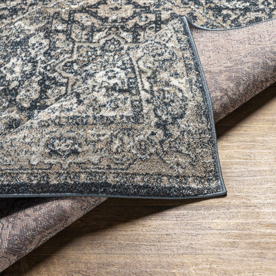 Sturt Gray Traditional Area Rug - Clearance