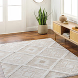 Ciro Area Rug - Clearance