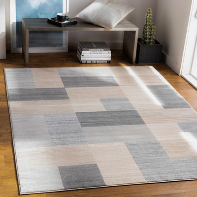 Ferryville Clearance Rug - Clearance