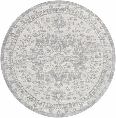 Colonie Area Rug