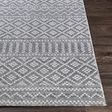 Camber Area Rug - Clearance