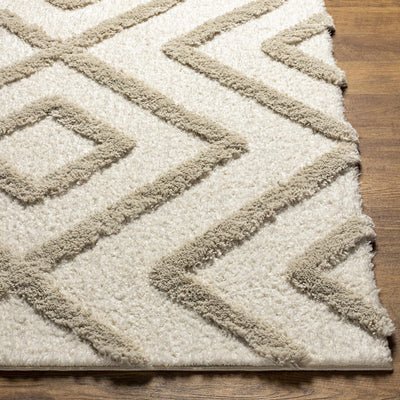 Candijay Mocha High-Low Shag Rug - Clearance