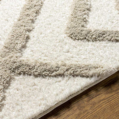 Candijay Mocha High-Low Shag Rug - Clearance