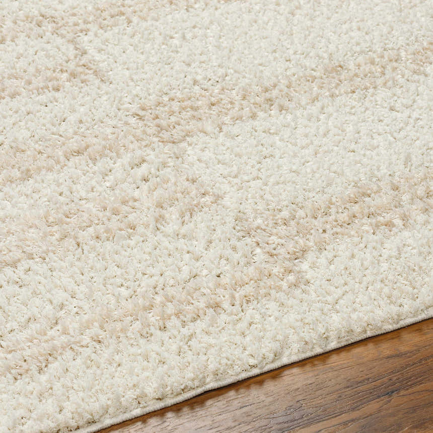 Close-up of the Cong Area Rug - Clearance, a beige shag rug with a soft, plush texture on dark wood flooring. Texture