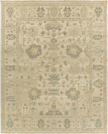 Close-up of the Canning Area Rug. Hand-knotted wool rug in light beige with traditional brown and sage floral and geometric patterns. Design-Rectangle-810