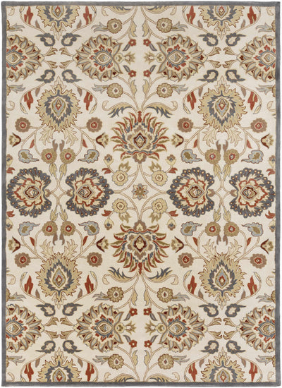 Conesus Hand Tufted Blue & Rust 1204 Area Rug