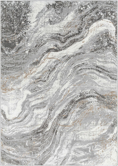Cogtong Gray Marble Rug - Clearance