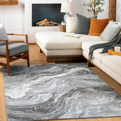 Cogtong Gray Marble Rug - Clearance