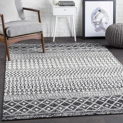 Constantin Black & White All Over Rug