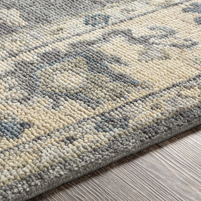 Cooter Area Rug