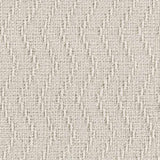 Chiconcuac Cream Throw Blanket