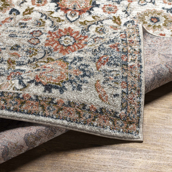 Castleknock Traditional Area Rug - Clearance