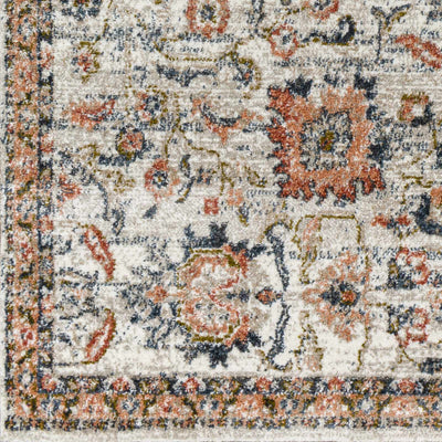 Castleknock Traditional Area Rug - Clearance