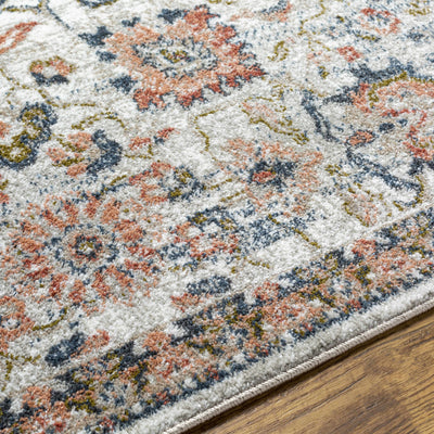 Castleknock Traditional Area Rug - Clearance