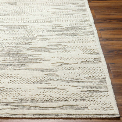 Damek 8x10 Neutral Premium Wool Area Rug