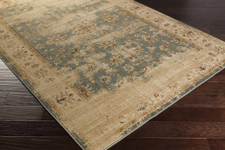 Danburg Area Rug - Clearance