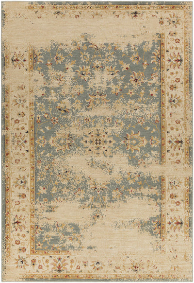 Danburg Area Rug - Clearance