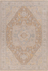 Darin Area Rug - Clearance