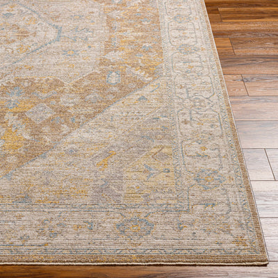 Darin Area Rug - Clearance