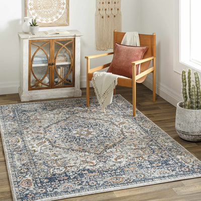 Sturt Gray & Brown Traditional Area Rug - Clearance