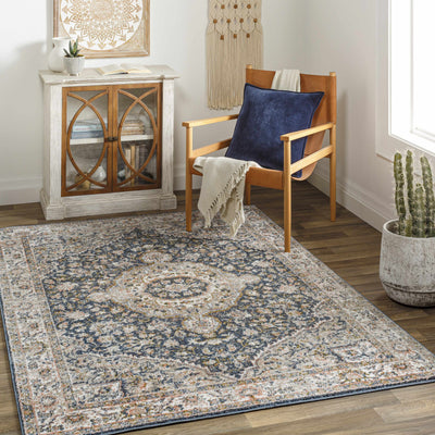 Babag Traditional Area Rug - Clearance