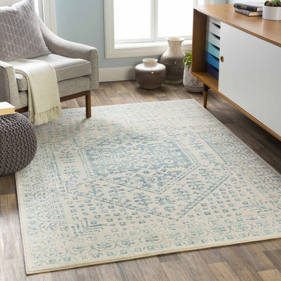 Dayville Area Rug - Clearance