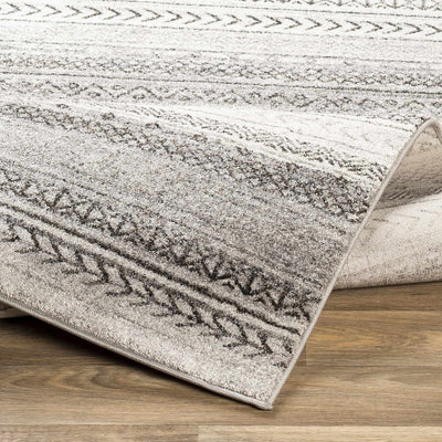 Dazey Clearance Rug - Clearance