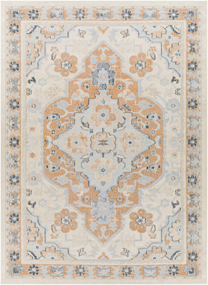 Deenwood Area Rug - Clearance