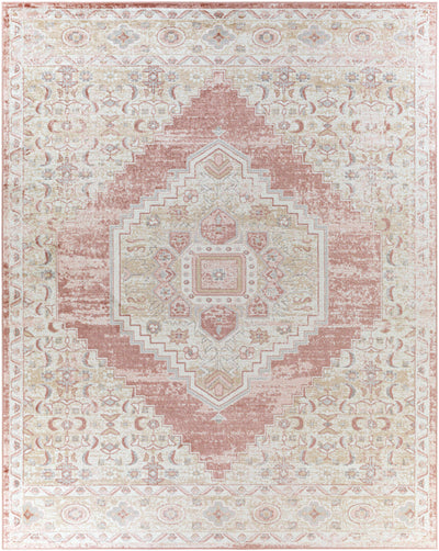 Deiniolen Area Rug - Clearance