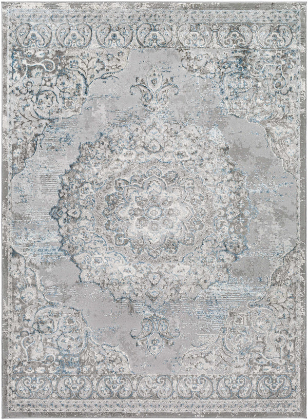 Demiryol Area Rug - Clearance