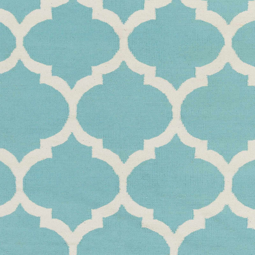 Derry Area Rug - Clearance