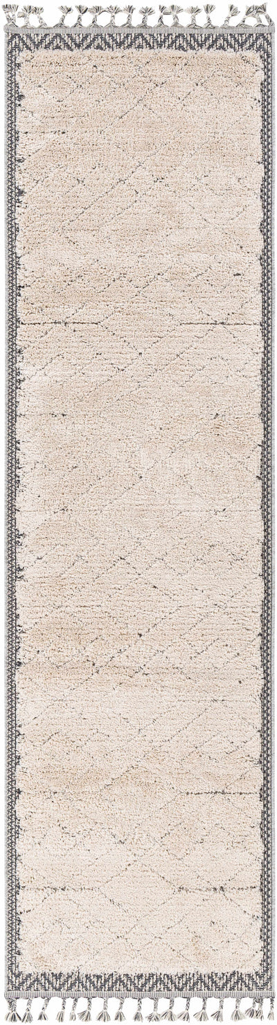 Dicle Area Rug - Clearance