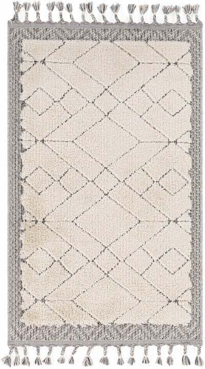 Dicle Area Rug - Clearance