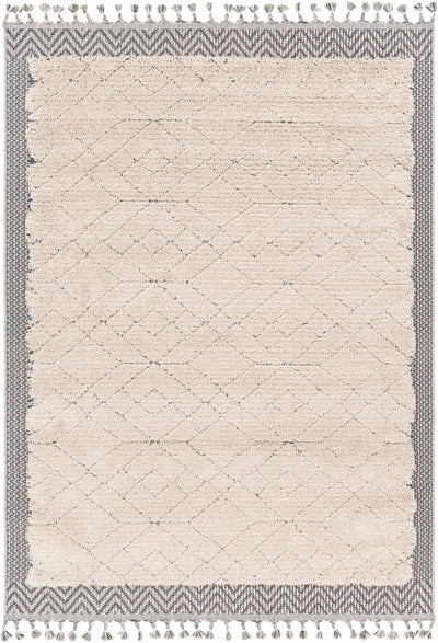 Dicle Area Rug - Clearance