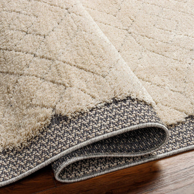 Dicle Area Rug - Clearance