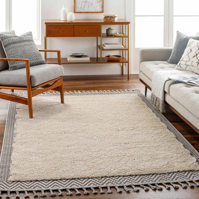 Dicle Area Rug - Clearance
