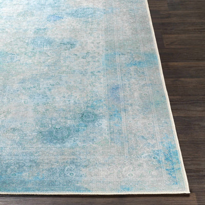 Dighton Washable Area Rug - Clearance