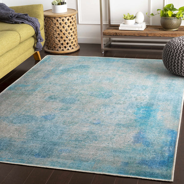 Dighton Washable Area Rug - Clearance