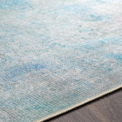 Dighton Washable Area Rug - Clearance