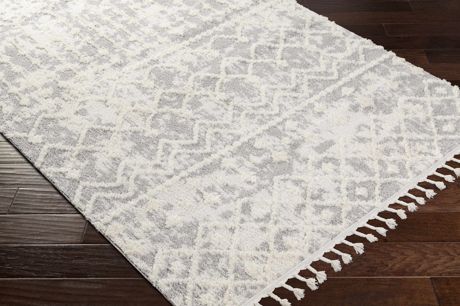 Close-up of the Dolo Area Rug. Cream and light gray rug with a bohemian-inspired pattern and tassels on dark wood flooring. Corner
