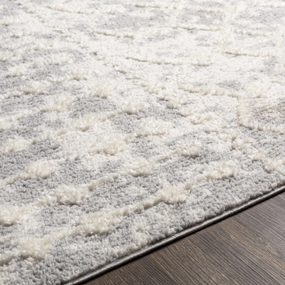 Dolo Embossed Cream&Gray Area Rug with Tassels - Clearance