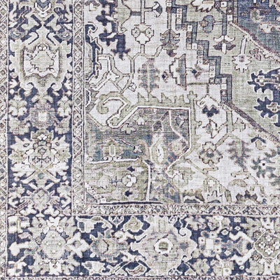 Neyland Iris Gray Area Rug 2359