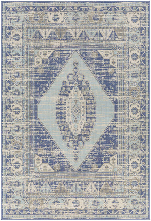 Doljo Indoor & Outdoor Rug - Clearance