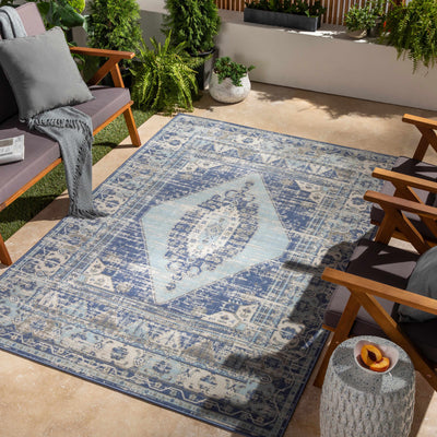 Doljo Indoor & Outdoor Rug - Clearance