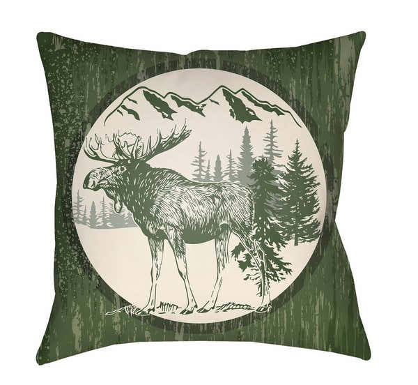 Dologon Outdoor Throw Pillow