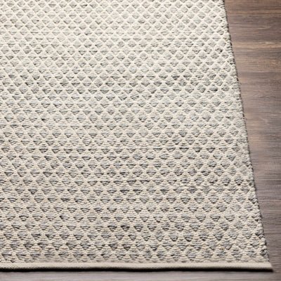 Dongara Flatweave Performance Rug